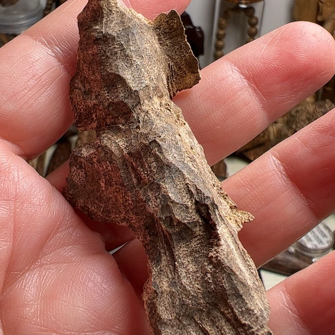 沉香沉香碎屑越南芽庄壳料2.3克