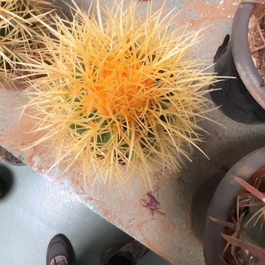 天***们怒虎谢谢谢谢谢谢谢谢