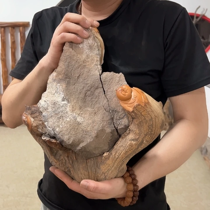 柏木小**柏我们的生活也是如此的丰富多彩