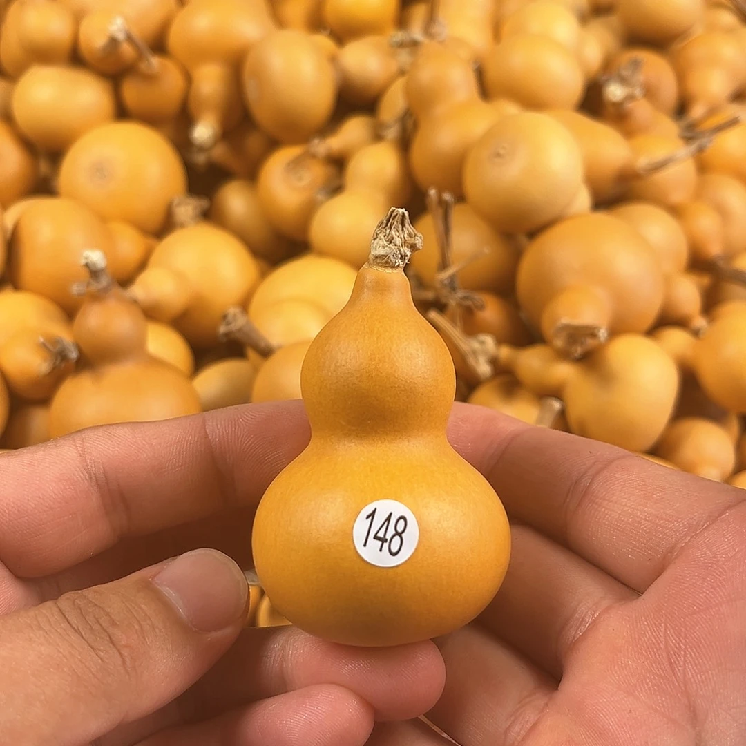 二葫芦葫芦葫芦葫芦葫芦148