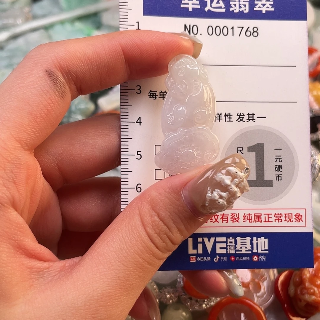 翡翠未镶嵌颈饰1768