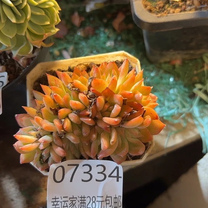 幸运的是我还没遇到