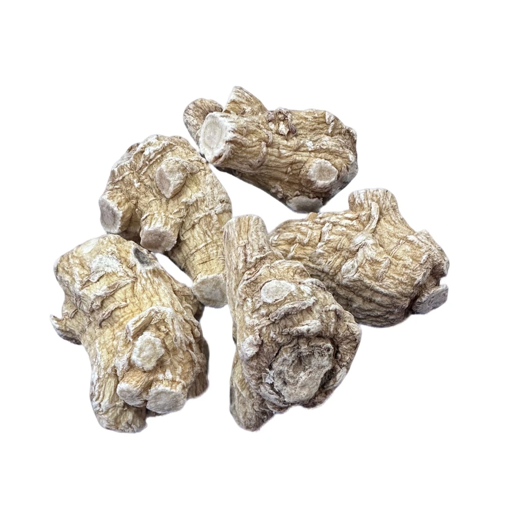 西洋参主根 直播磨粉