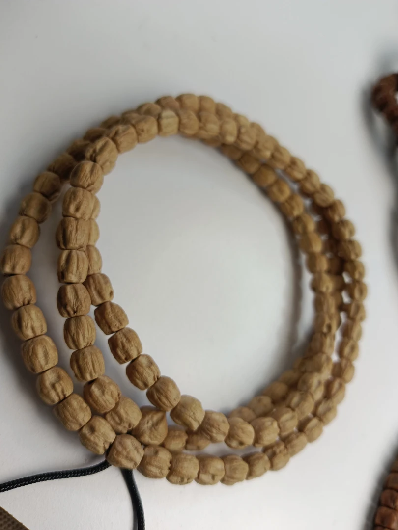 热振百香籽长腿鬼