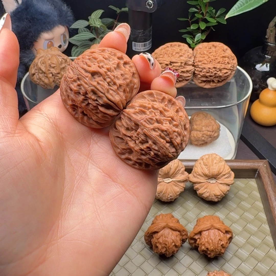 把件龙脊菩提全品血磨40