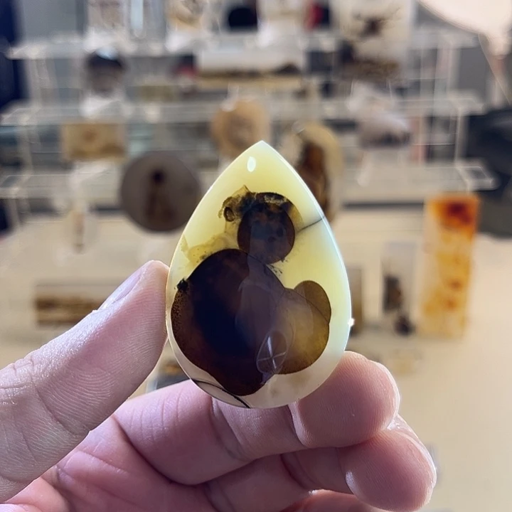 未镶嵌吊坠(不含链)玛瑙/玉髓