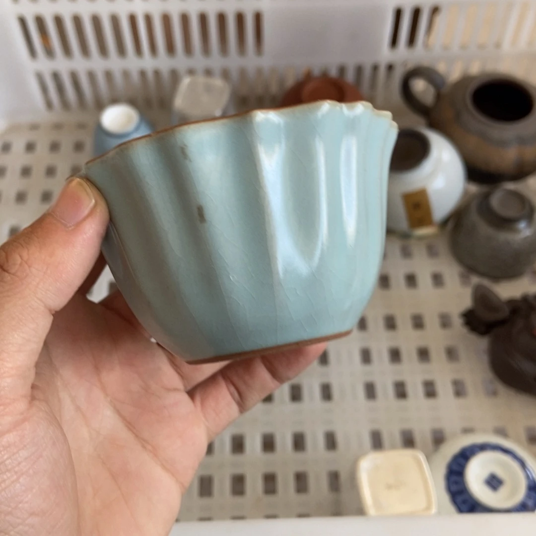 杯直播链接直播链接