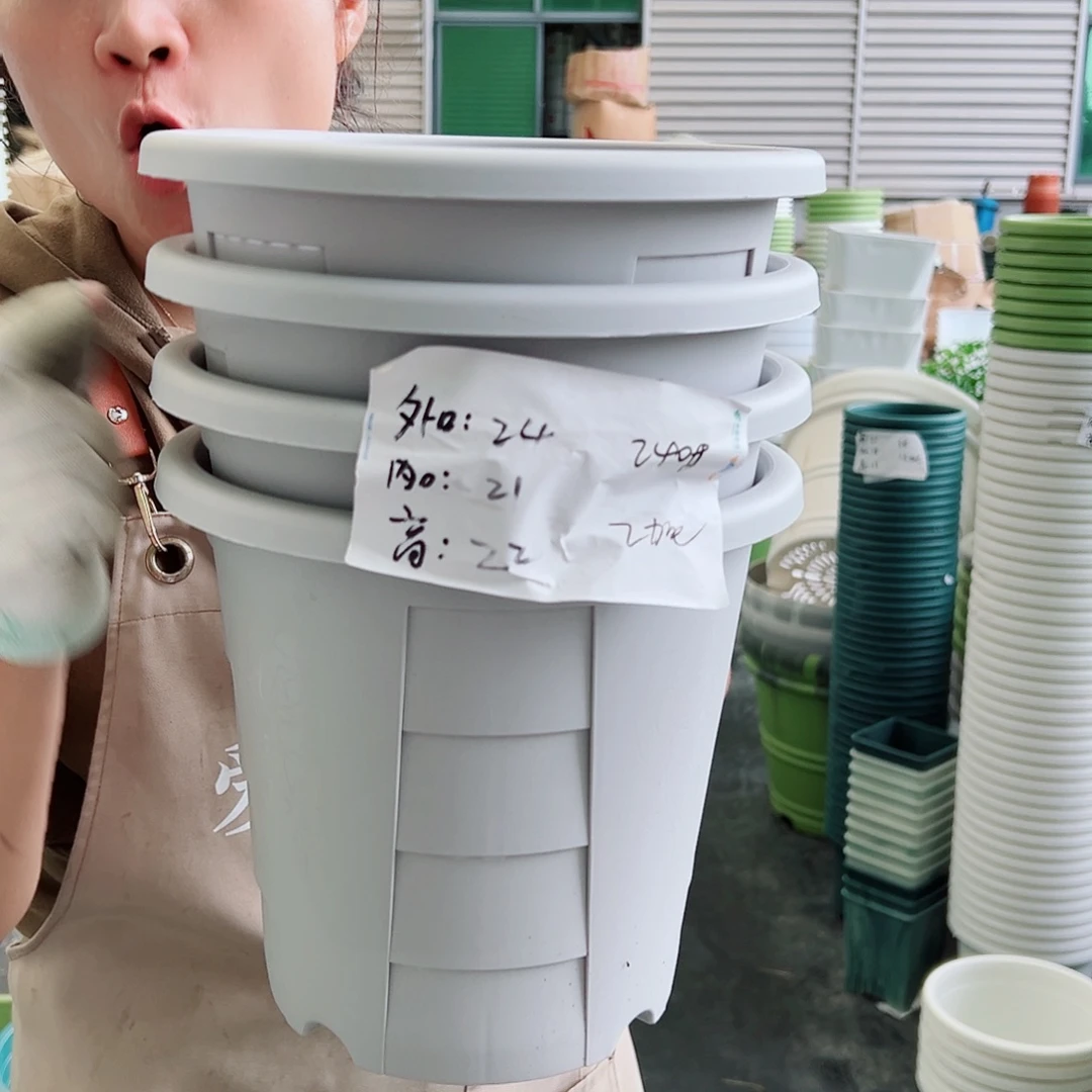 玫瑰240#灰白色5个无托