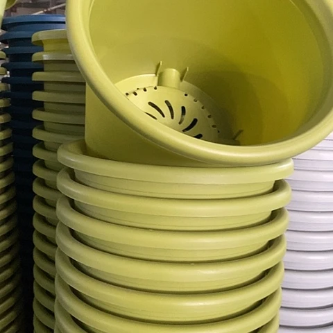 树脂四季6号微瑕果绿无托7个