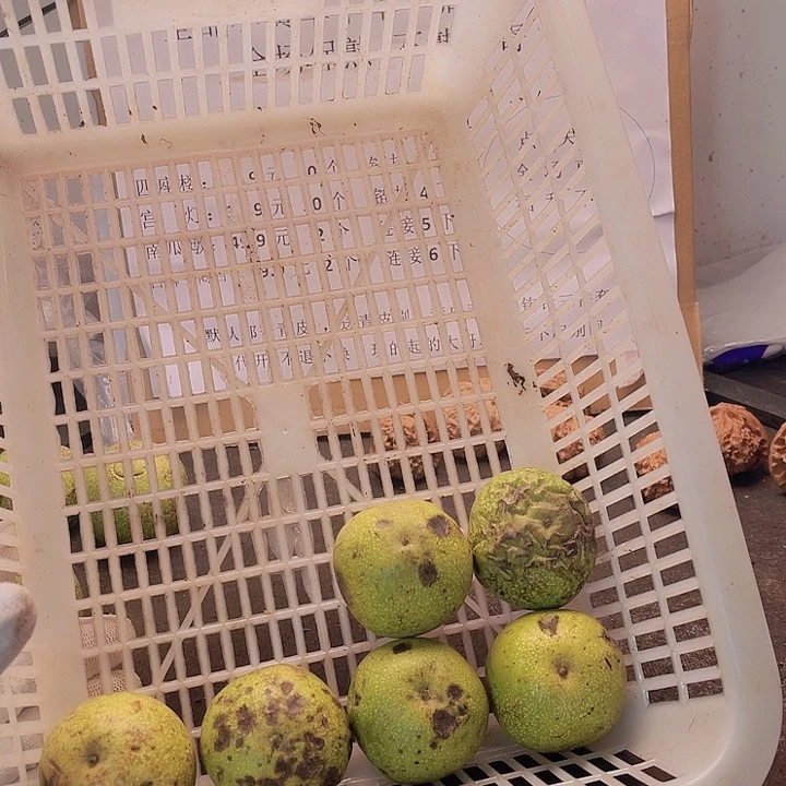 吊坠文玩核桃狮子6