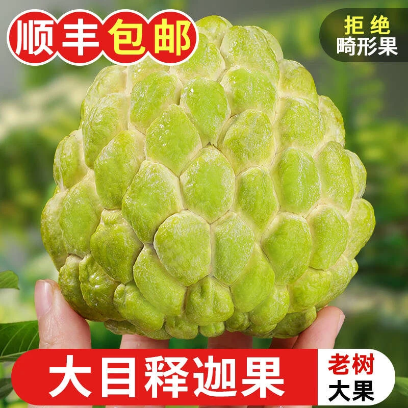 【顺丰包邮】泰国大目释迦果3-5斤香软嫩滑精选送礼香甜