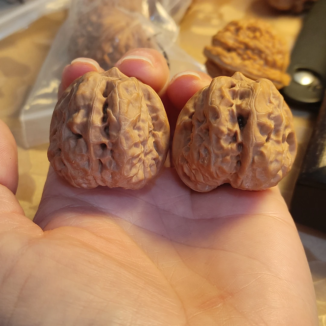 开背红皮山地蛙边36肚41高34