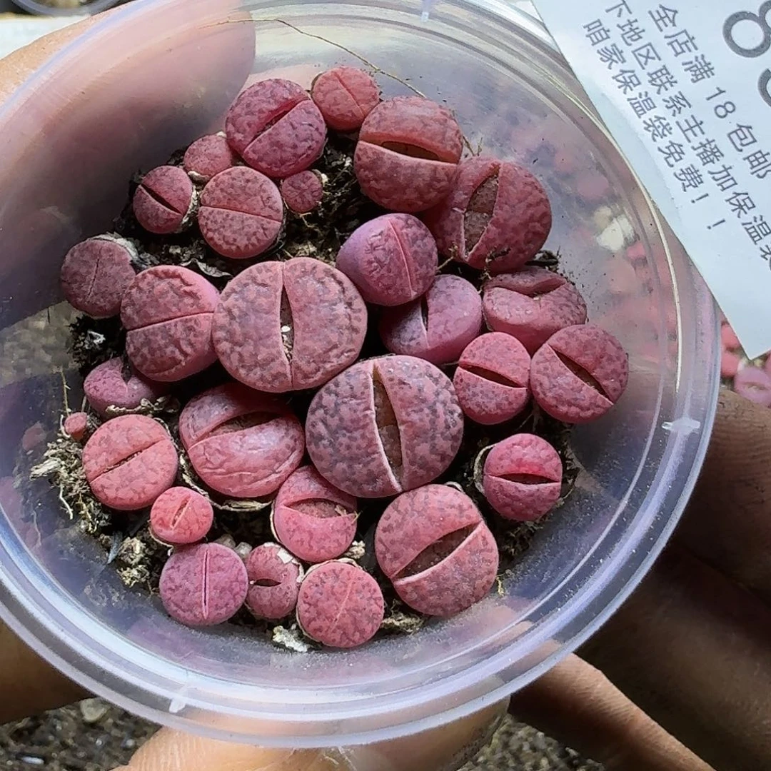 1836 哈哈哈哈哈哈哈哈哈哈哈哈哈