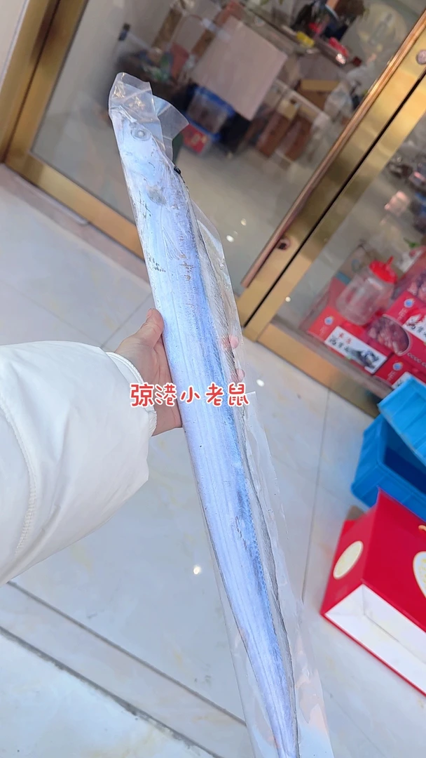 弶港本港带鱼,新鲜发货,净重5斤,12条左右,顺丰包邮,