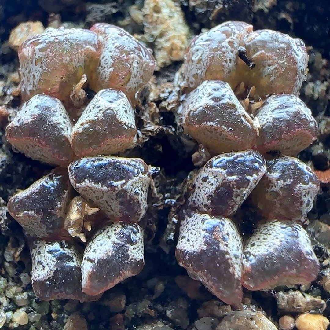 哈哈哈哈哈哈哈哈42883