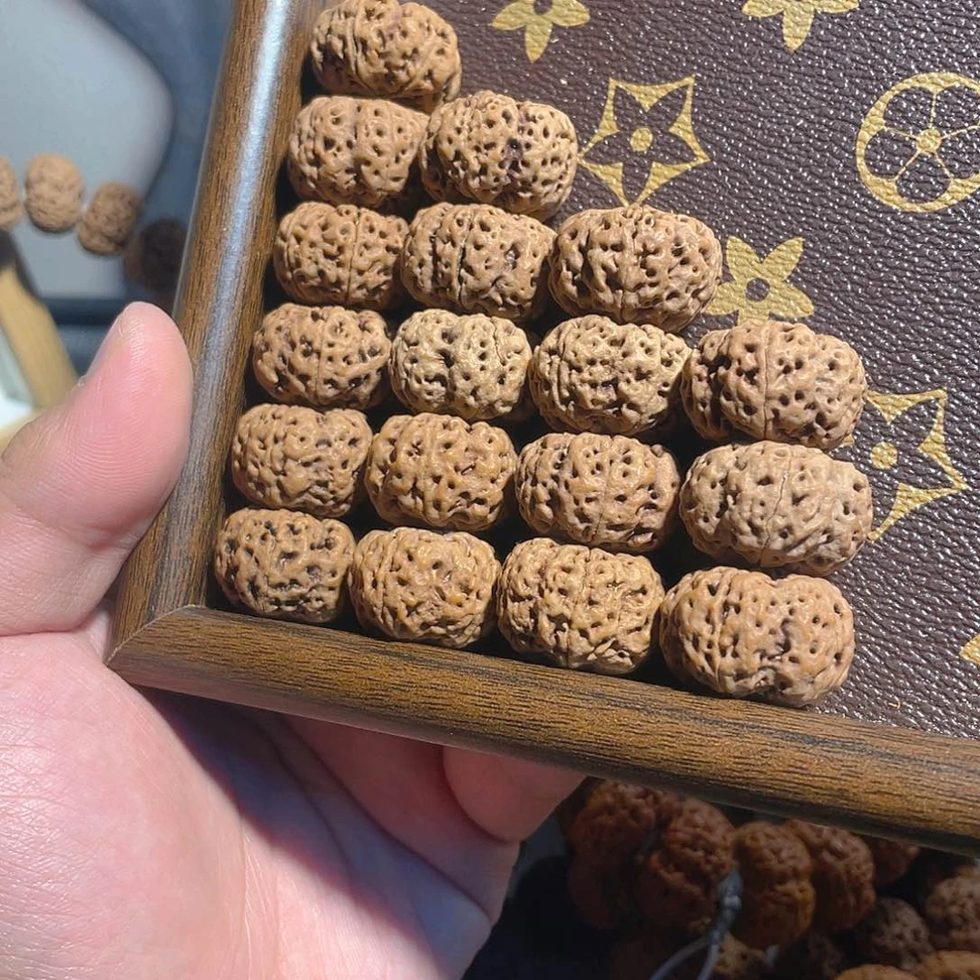 手串金刚菩提24mm夹板龙稚【全】【同心同轴】