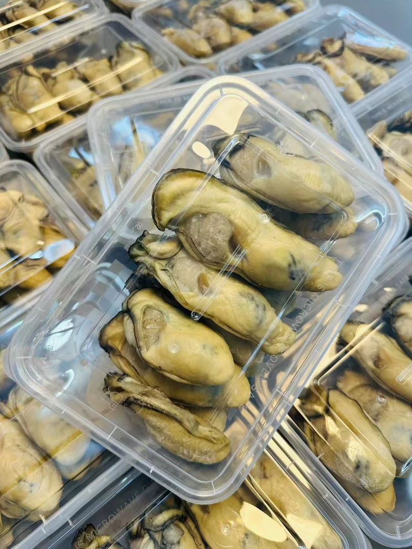 【沙井金蚝】规格大金蚝一斤装起售
