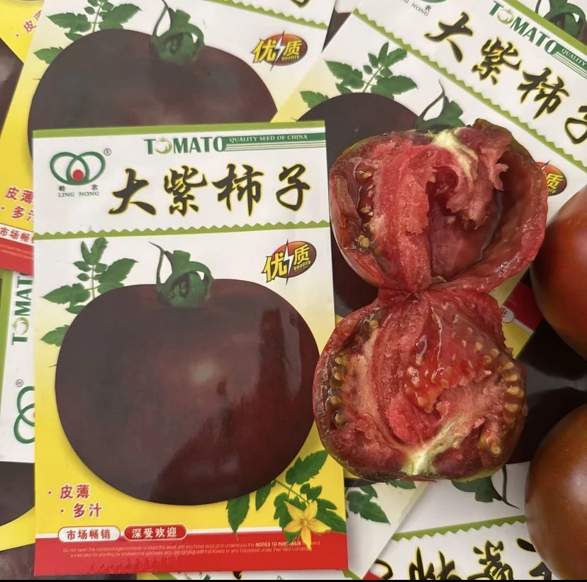 【大紫柿子种子】西红柿种子紫黑西红柿四季珍珠瓜果蔬菜种籽