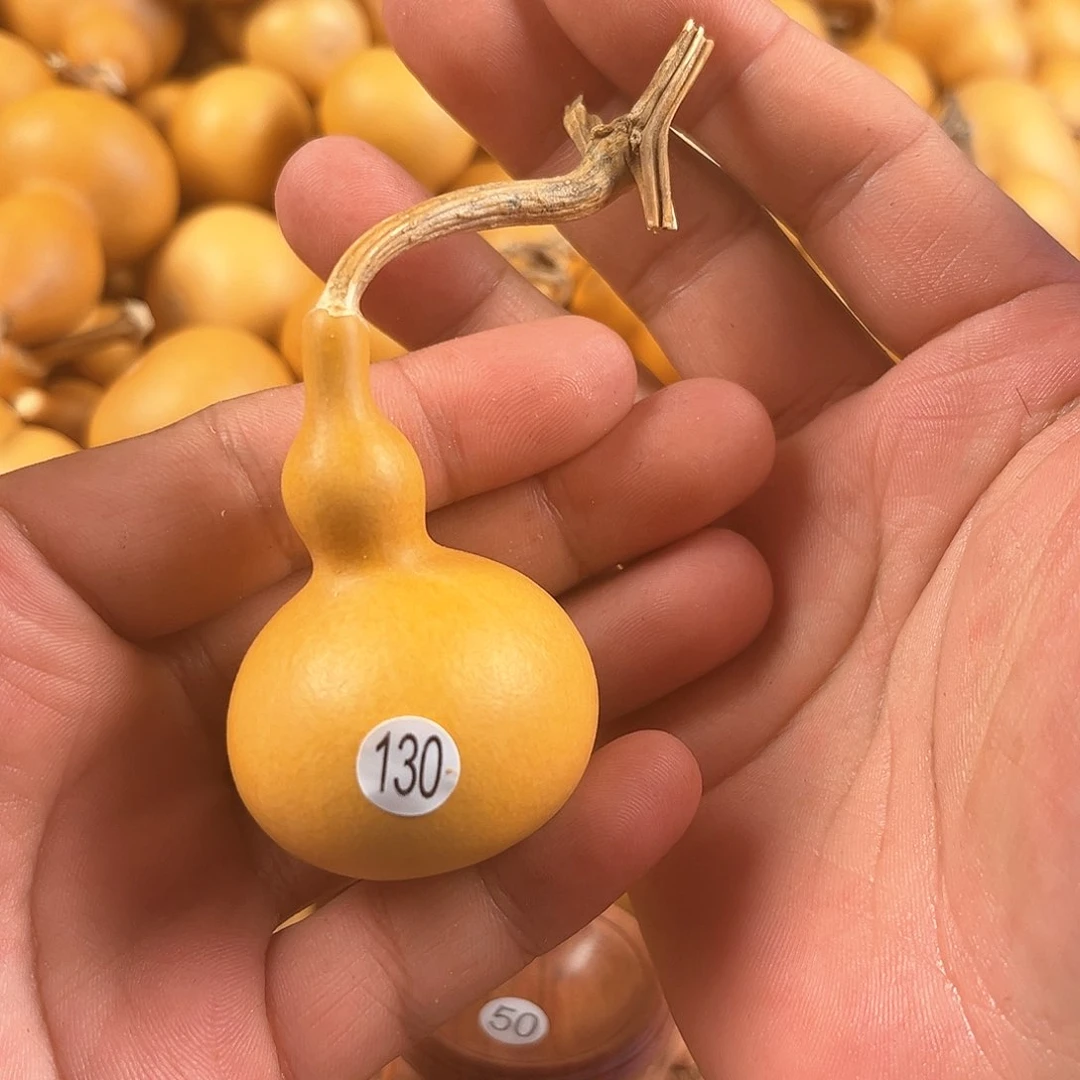 一葫芦葫芦葫芦葫芦葫芦130