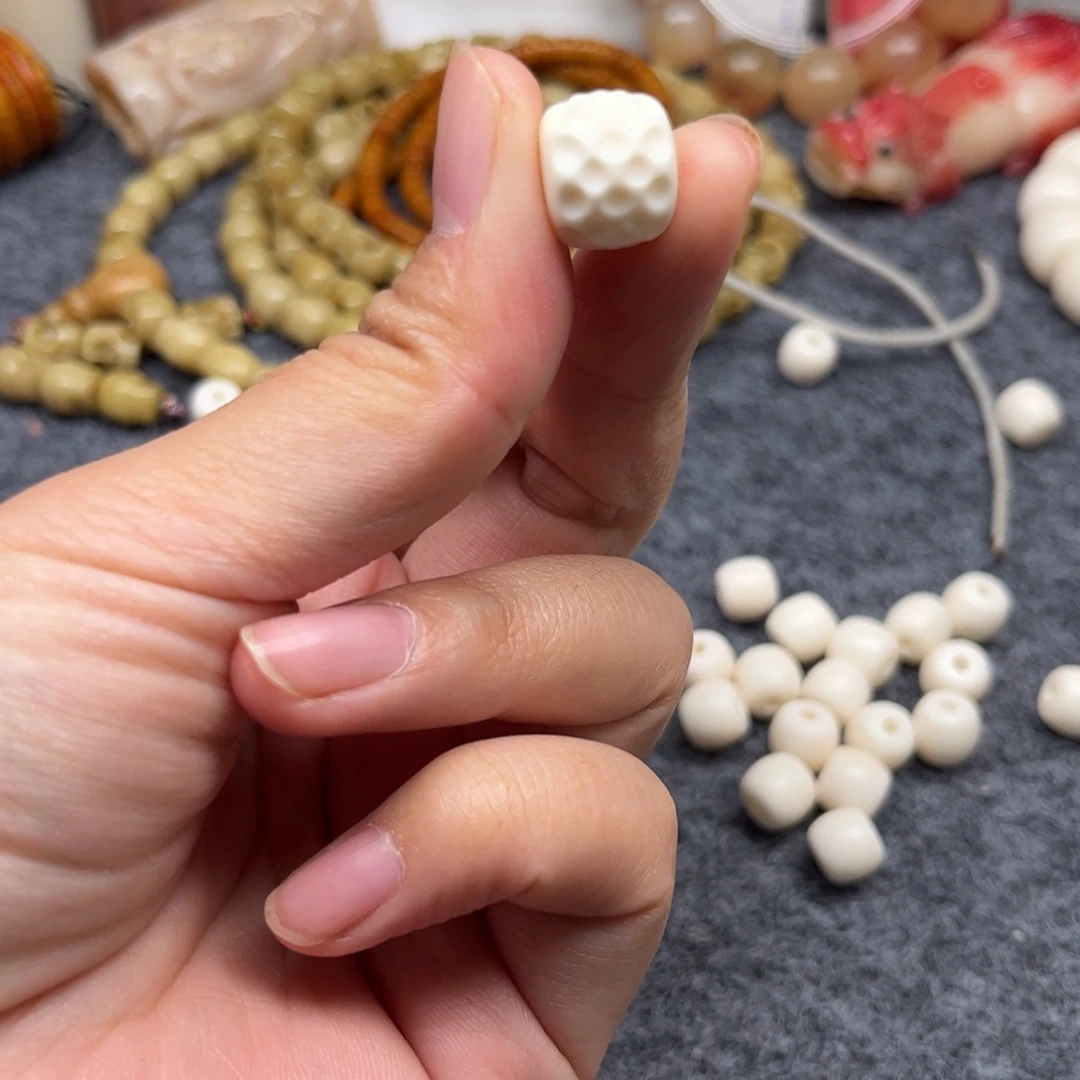 鹿骨其他人工养殖驼骨4