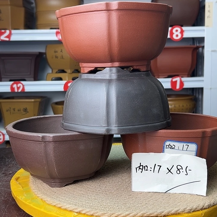 紫砂花盆蛇年大吉