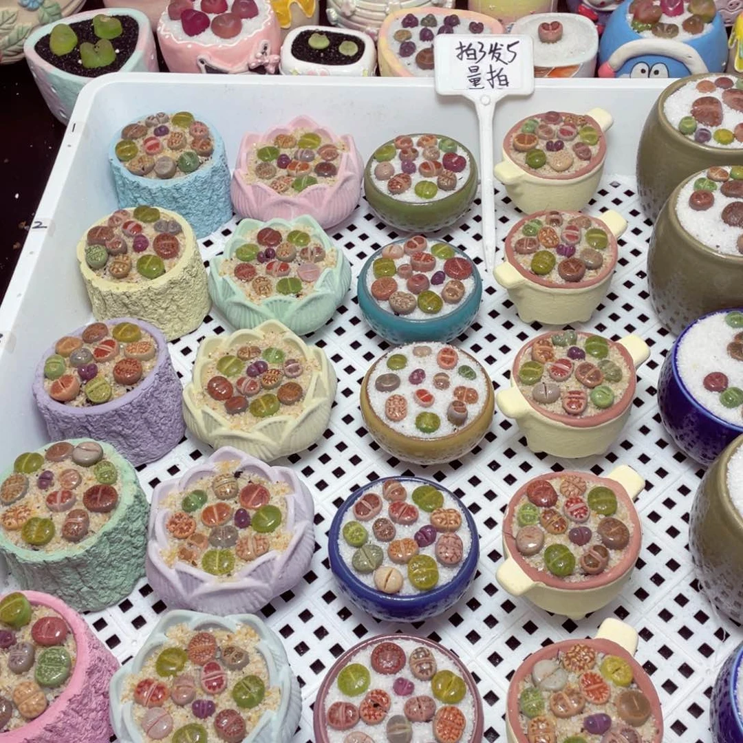 拍3发5，备注横编号