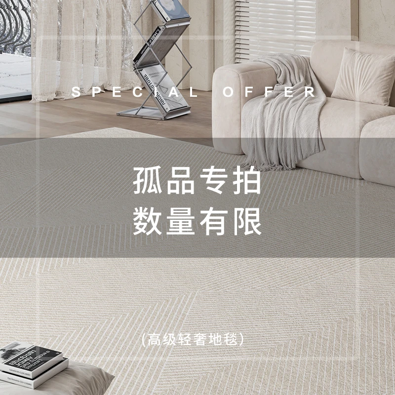 51-100客厅卧室通用法式轻奢防水免洗可擦加厚地毯茶几毯沙发毯