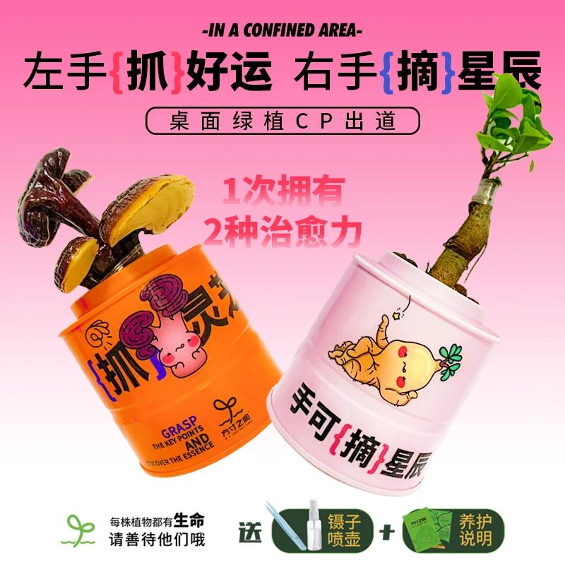 方寸之间-抓灵芝躺平人生创意办公室桌面绿植新风格中秋节礼物
