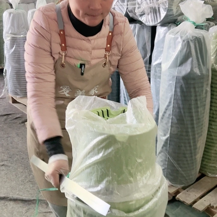 树脂四季盆5#果绿色6个无托