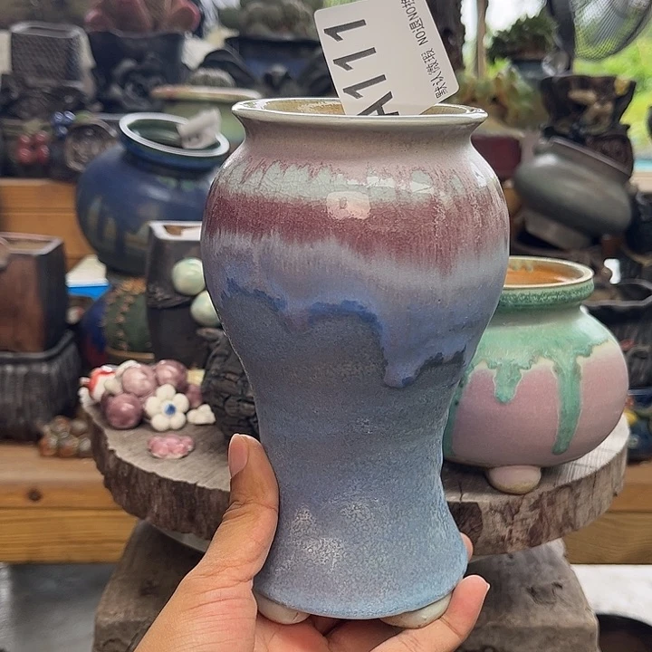 重庆小燕子欢迎大家111