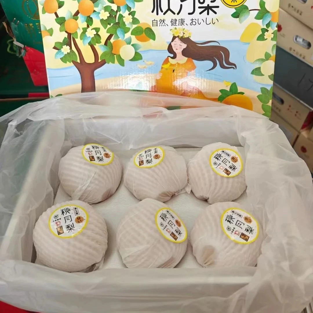 【众彩甄选】山东莱阳秋月梨礼盒装脆甜多汁新鲜应季水果山东省