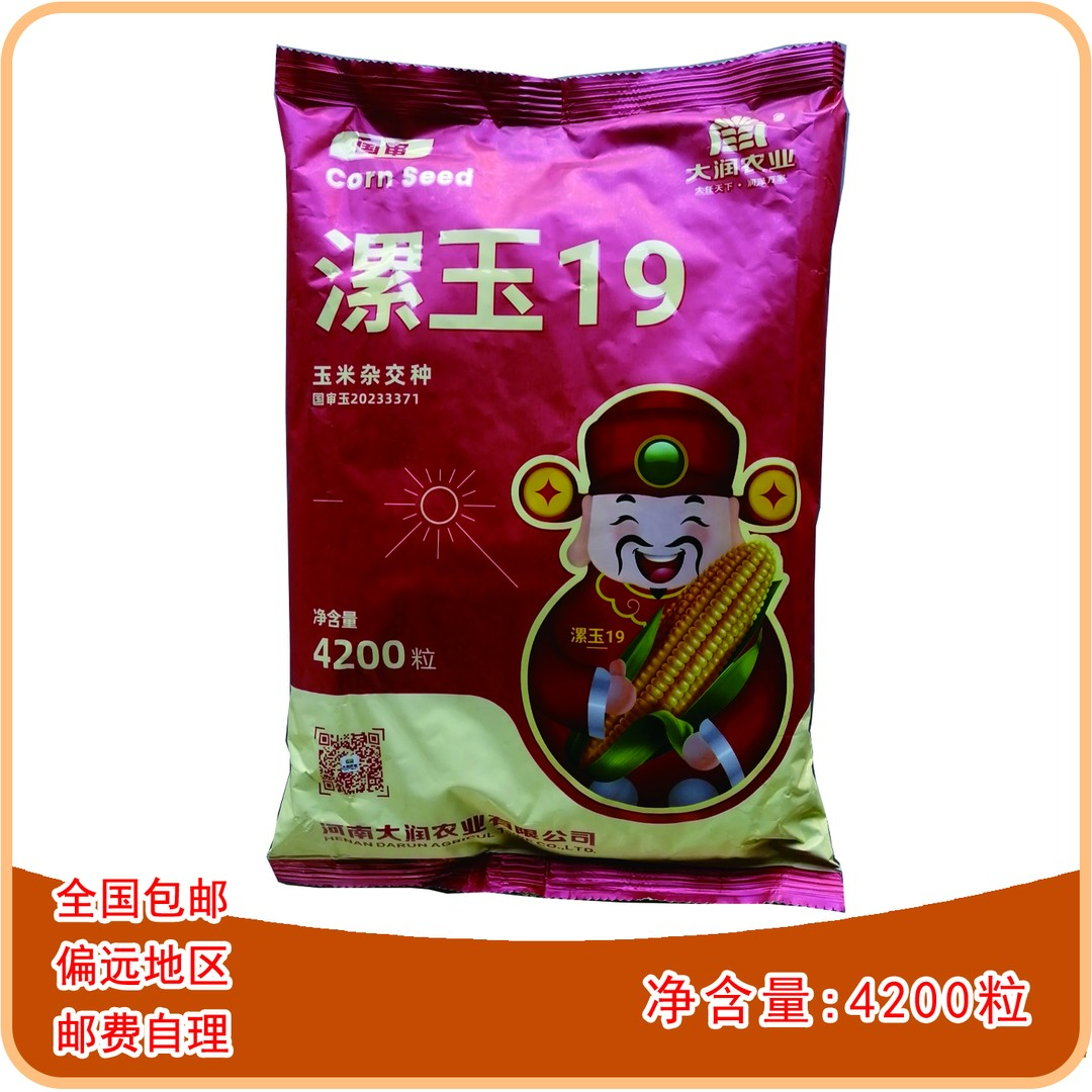 CCTV12-国审漯玉19玉米种，耐密植、耐贫瘠、耐高温、产量高，1袋起发。