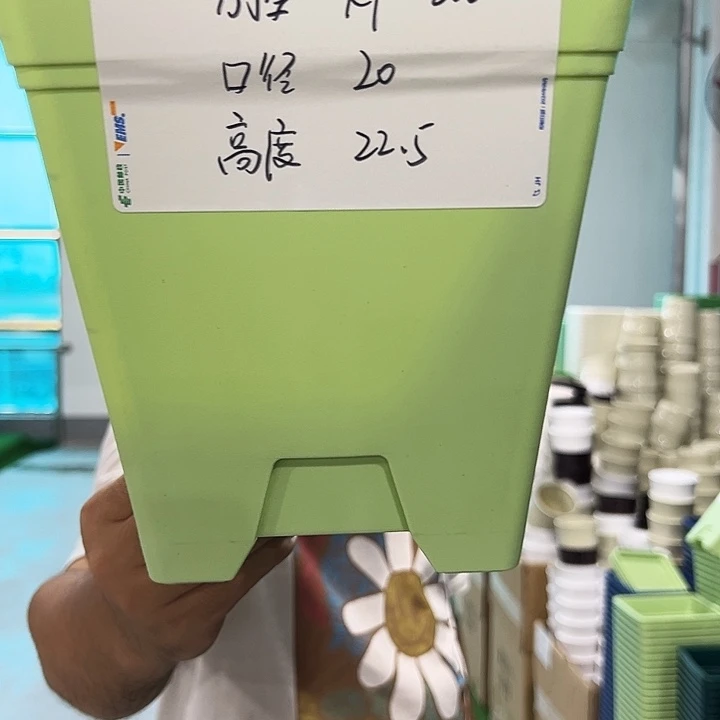 特价方盆口20高22果绿色5个带托