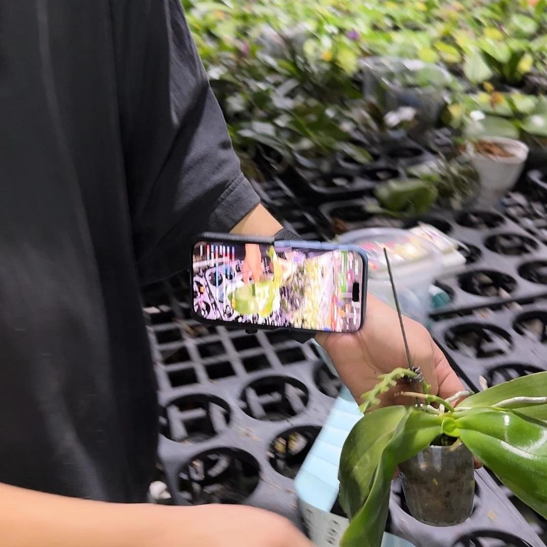 完全开放C67。。。。。