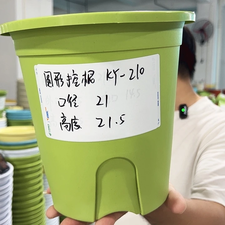 正品圆控口21高21果绿无托8只