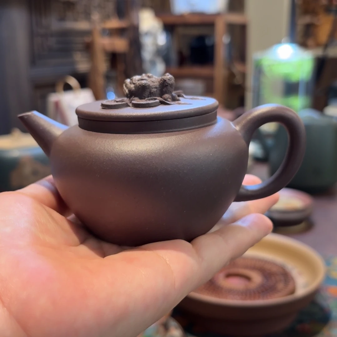 不***忍茶壶紫砂天青泥金蟾壶