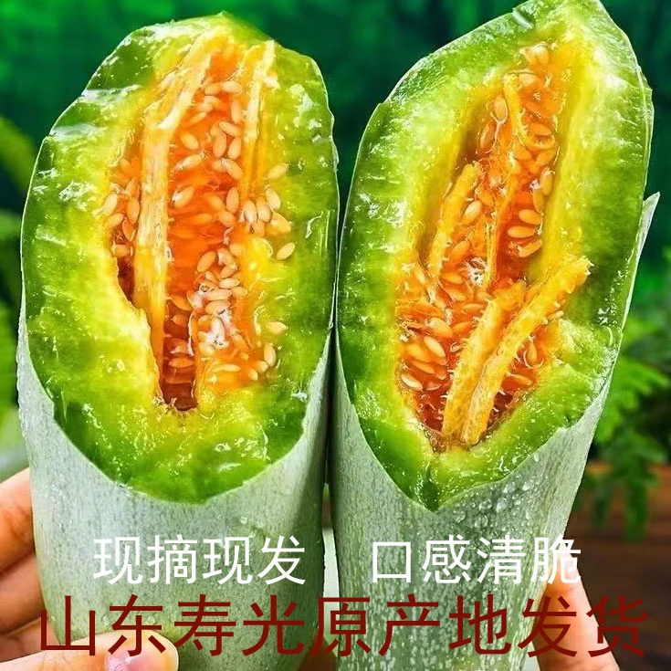 【粉丝福利】山东寿光头茬羊角蜜甜瓜新鲜现摘应季水果脆甜