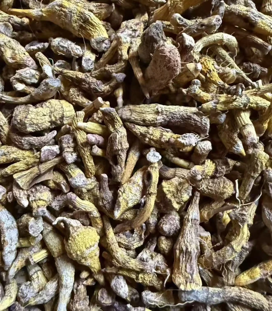 云南土特产（虎牙石斛）