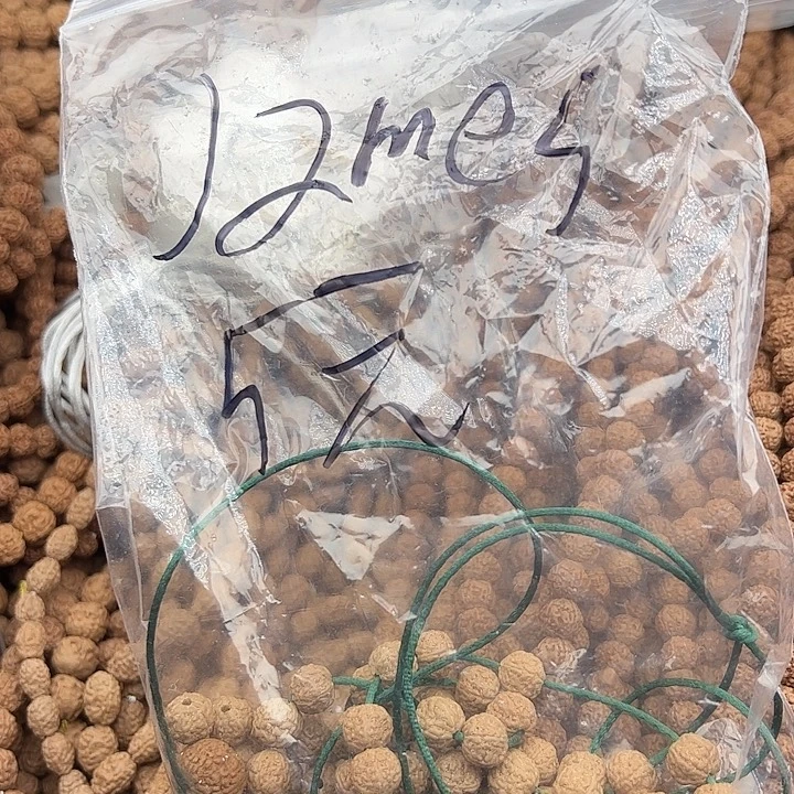 ****d手串金刚菩提谢谢