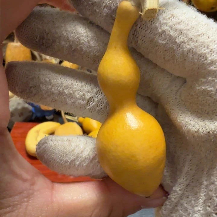 蔚***风色差666666666666