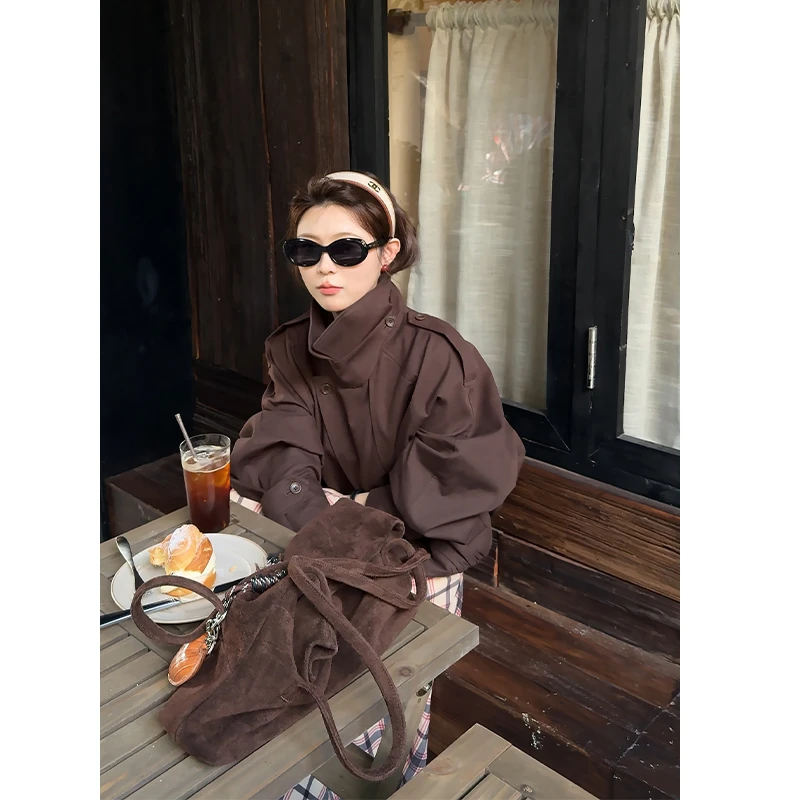 气质高级感早秋短款立领风衣外套女新款时尚气质好看小众纯色上衣