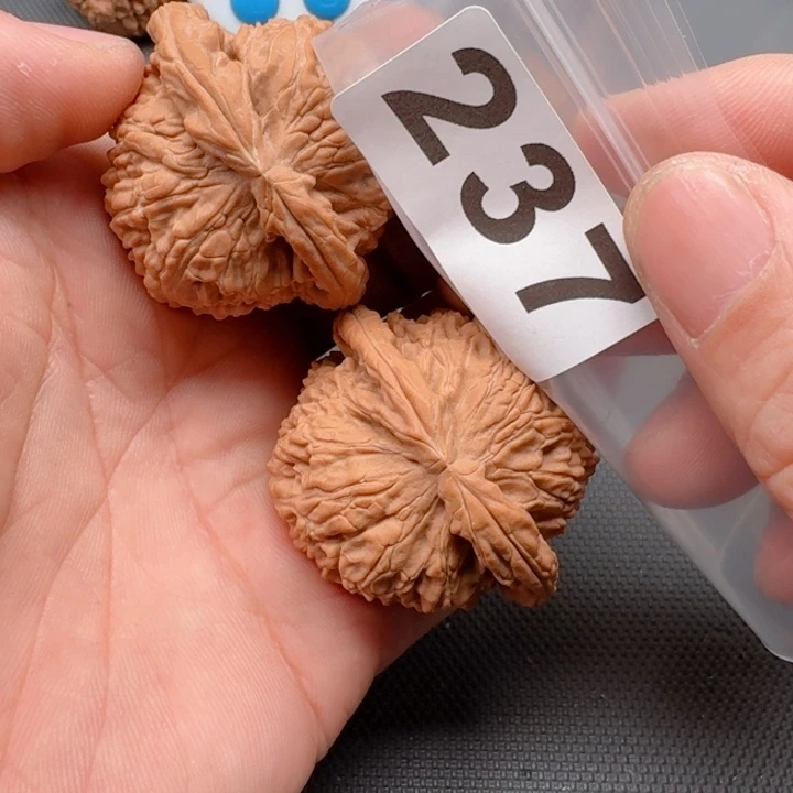 文玩核桃把件_*懋白狮44