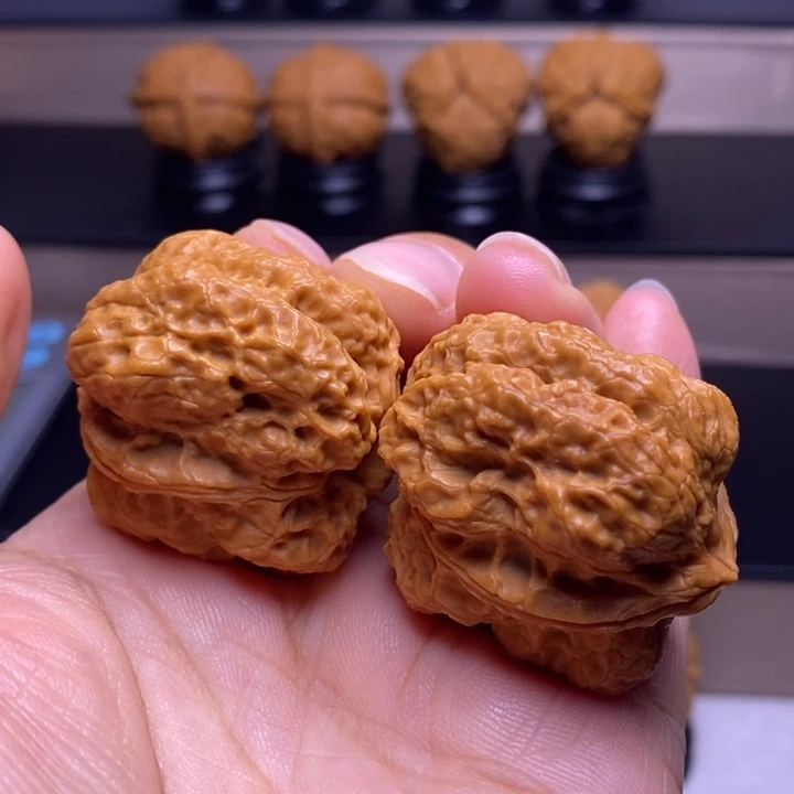 把件文玩核桃霸王龙脊12