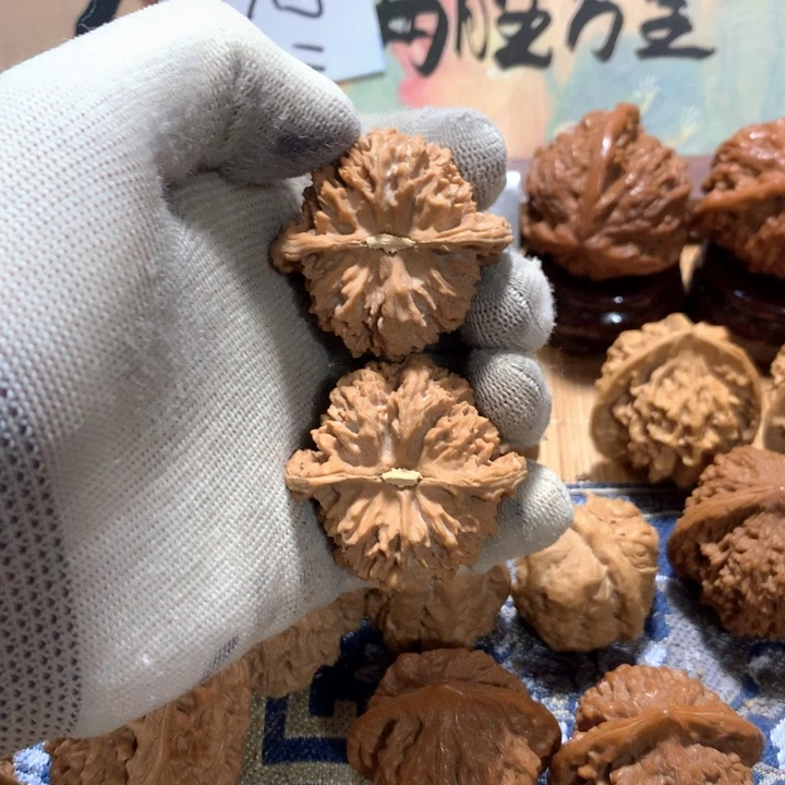 子***木hhhhhhhhh哈哈哈哈