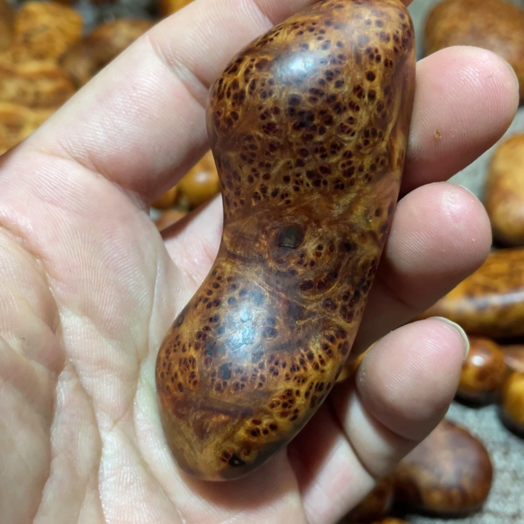 柏木（崖柏）其他把
