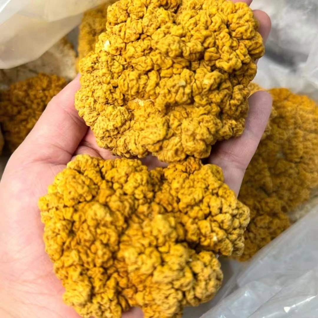 四川菌王手选高山金耳 新货干货