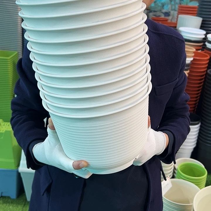 正品矮陶口24高17白色无托6个