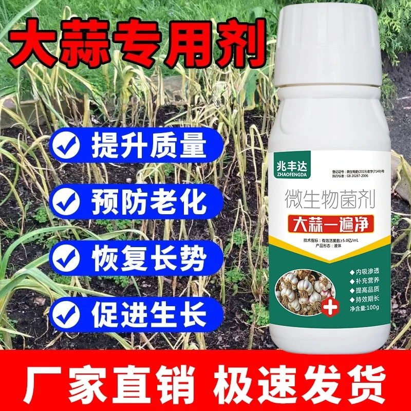 大蒜一遍净专用大蒜干尖黄叶锈斑根腐配方升级微生物菌剂