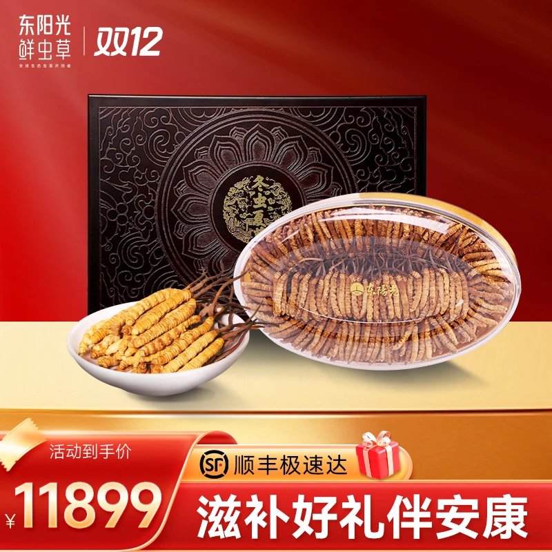 东阳光冬虫夏草75克实木礼盒3-4根/克中大草干货饱满官方正品滋补