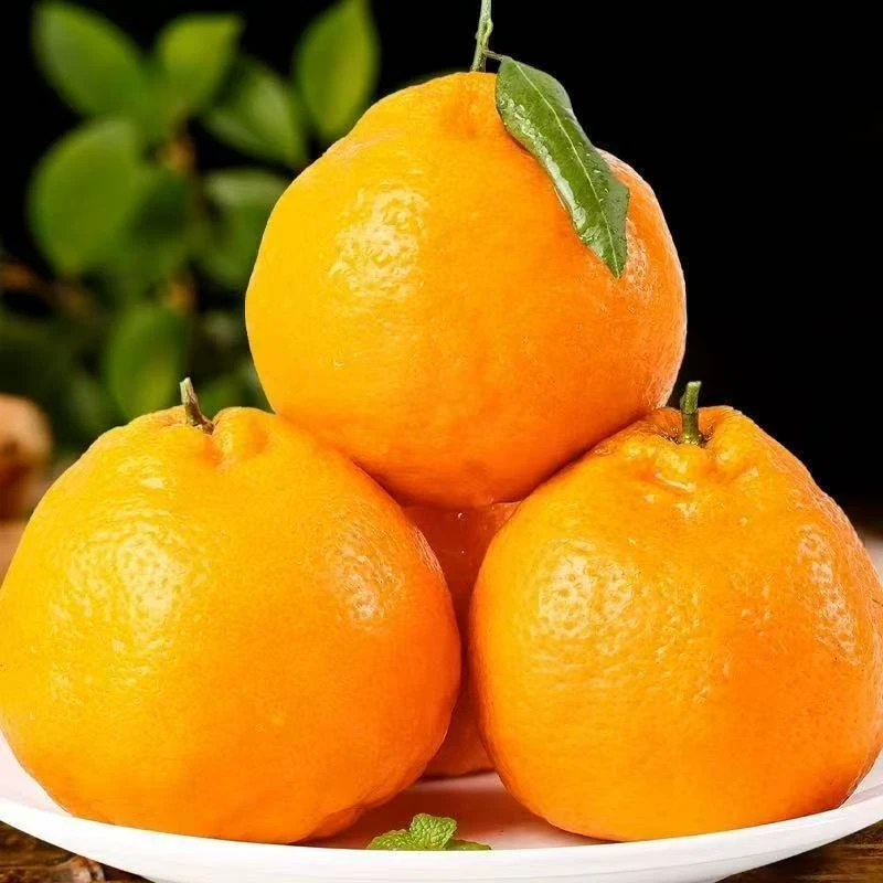 四川春见耙耙柑产地直发新鲜多汁当季手剥水果非爱媛果冻橙香甜